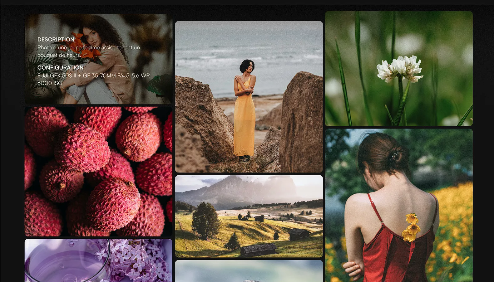 Un feed de photographies disponibles sur la nouvelle interface du site internet de Digit-Photo.
